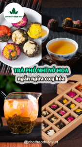 1kg Trà Phổ Nhĩ Nở Hoa (Các Loại Tự Chọn)