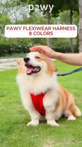 Yếm Dắt Chó Pawy - Flexiwear - Màu Hồng - Dog Harness