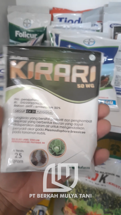 Nyushaning sutyensiz yalangoch kokraklari