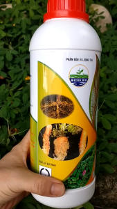 Chế Phẩm Diệt Trứng Tuyến Trùng Ngăn Ngừa Thối Rễ Vàng Lá - ENZYME CHITINI