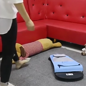 Marino เปลสุนัข เปลสุนัขโยกเยก ที่นอนหมา No.Y1259