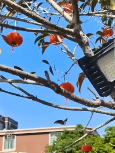 Portable Waterproof LED Clip Solar Light USB Outdoor Light Lamp 太陽能燈戶外