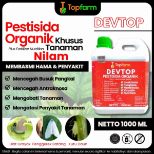 Obat Untuk Tanaman Nilam / Obat Penyakit Nilam / Obat Daun Lebar/ Obat Semprot Daun Lebar / Obat Nilam / Obat Pelebar Daun Nilam / Obat Hama Tanaman Daun / Pestisida Hama Daun / Obat Semprot