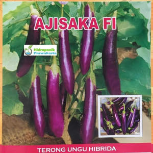 Benih Terong Ungu AJISAKA F1 Cap Tiga Daun Isi 5 Gram