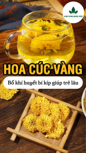 Hoa cúc vàng 300g trà hoa cúc khô nguyên bông vàng đẹp trà hoa cúc vàng tốt cho sức khoẻ