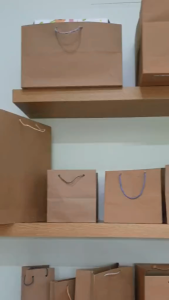 ( 12 pcs ) PAPER BAGtas kertas POLOS DAN BATIK