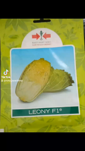 Benih Bibit Sawi Putih Hibrida LEONY F1 1000 butir