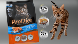 ProDiet 1.25KG(Salmon Chicken/Cod Chicken)Dry Senior Old Cat Food x 3 Packs