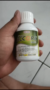 INSEKTISIDA ACCORA 100EC 100ML OBAT HAMA KUTU DAUN PUTIH & THRIPS PADA TANAMAN