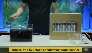 BLINGOO Five-stage ultrafiltration water purifier kitchen faucet filter Household water purifier
