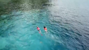 Original Professional Easy Breath Diving Full Face Mask Swimming Goggles for Underwater Go pro Camera Scuba Snorkeling Equipment with Adult Gear Snorkel Goggle Set Free snorkling freediving tempered glass gaggles water kids diver snorkle Masks