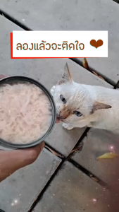 อาหารแมว กระป๋องเปลือย อาหารแมวเปียก จากโรงงาน ส่งออก ล๊อตใหม่ ราคาถูก 85 - 185 กรัม ทูน่าขาว ทูน่าแดง ไก่ Cat Food อาหารหมา Oasis Cat Food