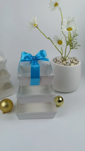 กล่องเบเกอรี่ฝาใส แซนวิช กล่องจัดเบรค เค้กมินิ (400ชิ้น/แพ็ค)