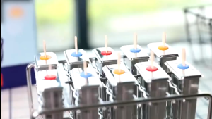 แม่พิมพ์ไอศครีม 10แท่ง สแตนเลส304 ที่ทำไอศครีมแท่ง 10ช่อง 🌈พร้อมส่ง