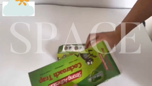 10Pcs Cockroach Trap Roach Killer Indoor Home Non-Toxic Sticky Trap Bug Glue Trap Home Cockroach Killer Infestation Safety to Pets & Child Easy to Use