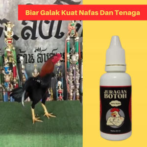 Jamu Ayam Aduan Juragan Botoh Biar Galak Kuat Nafas Dan Tenaga