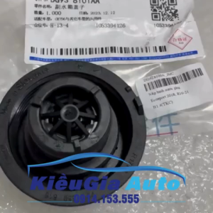 Nắp bình nước phụ Ford Everest 2016-2021 DG938101AA Chính hãng