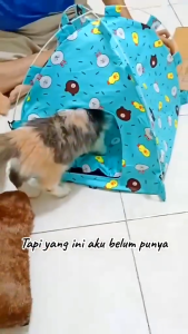 Tenda Kucing Portable Aerizoo Ukuran Besar 45x45 Bonus Bantal Kalung Mainan Tongkat Bulu