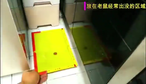 Large Mouse Rat Sticky Mice Rodent Glue Board Bait Trap Super Strong Adhesion Sticky Mouse Board Mouse Glue Trap