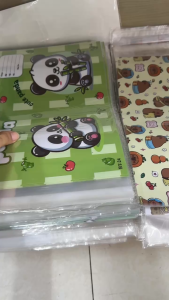 Xấp 10 Tờ Bìa Bao Tập Có Lồng Kiếng Nhiều Hình Cute Dễ Thương Bao Vừa Tập 155*205mm
