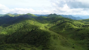 ready stock Electric Kettle Household Instant Heating Drinking Machine with Integrated Insulation and Direct Drinking Purification Machine Desktop Hot Water Dispenser