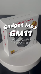 GADGET MAX GM11 TRUE WIRELESS BLUETOOTH HEADSET(V5.3)(NPL-7/2022)
