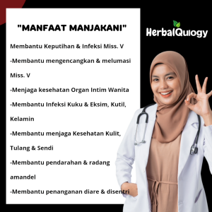 HerbalQulogy - MANJAKANI Isi 30 60 100 Kapsul Murni alami 100% herbal tunggal Original manjakani