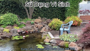 Vi Sinh BZT Xanh - Giảm Mùi Hôi Tanh - Làm Trong Nước Hồ Nuôi Cá Koi - Tôm