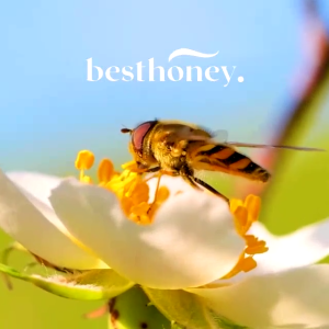 Best Honey  Madu Asli 100%  Madu Murni  Madu Multiflora Original Natural  Madu Aromatic 350gr