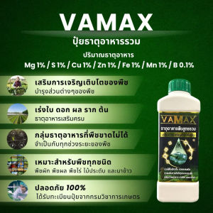 VAMAX ปุ๋ยธาตุอาหารรองเสริมพืช สูตรรวม เร่งการเจริญเติบโตของพืชทุกชนิด (โปร 2 ลิตร) ส่งฟรีทั่วไทย
