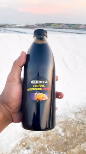 BERRITZ Ekstrak Ketapang Pekat Untuk ikan channa cupang koki koi arwana dan semua ikan
