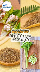 Hạt cần tây 1kg Celery Seed gia vị nấu ăn pha trà - Thảo Dược Hạnh Nguyên