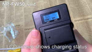 PALO Baterai Kamera NP-FW50 + Battery Charger untuk Sony a6500 a6300 a6000 a5000