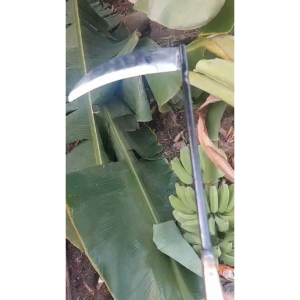 Sabit Gantol Dahan & Pemotong Sayuran: Alat Panen Padi & Gantol Dahan Pisang