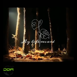 Aquarium High-end Biotope Spotlight Adjustable Focus 3 Color COB LED（鱼缸南美射灯原生缸led夹灯）