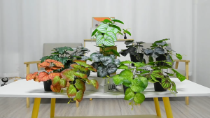 Simulation Potted Plant Mini Artificial Simulation Fake Flower Potted Plant Plastic Potted home deco