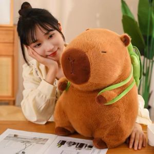 Gấu bông cabycara hỉ mủi rùa đeo ba lô siêu kute