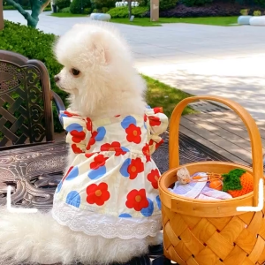 【Limited Stock Available】 Whisker Pet Skirt Spring and Summer New Floral Flying Sleeve Skirt Teddy Bears Puppy Puppy Cat Clothes