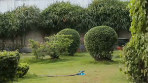 EECOO Round Sprinkler Air Taman 360 Derajat Full Set - YY1079 - Green