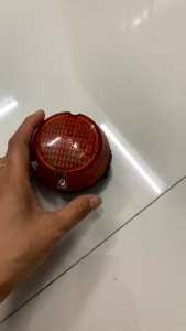 Củ xi nhan xe Minsk - Quả xi nhan xe Minsk