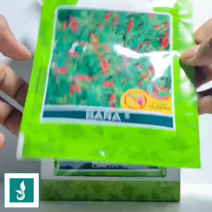 Benih Cabe Cabai Rawit BARA Isi 3200 Butir Cap Panah Merah