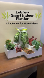 LeGrow Spring Smart Indoor Planter with Humidifier - 2 Patented Design Plant Pots 1 Environmental Humidifier 1 Water Holding Base Tray 1 Low Voltage Charger (Plants Not Included) g VMI DIRECT
