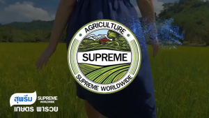 ปุ๋ยทางใบ อาหารเสริมพืช สุพรีมไคโตซาน สุพรีมโกรด์ สุพรีมอะมิโน ของบริษัทสุพรีมเวิลด์ไวด์ ลดต้นทุนเพิ่มผลผลิตเกษตรกรไทย