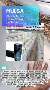 PLASTIK MULSA ( PAKET )  -10 meter - 15 meter - 20 meter- 25 meter - 30 meter - 50 meter Ukuran 10-50 Meter Mulsa Tanaman Rambat - Lazada