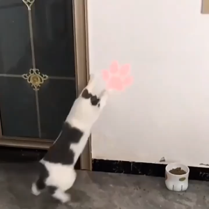 Cat Toy USB Rechargeable Projection LED Light 5 Pattern Light Pen Cat Entertainment Teaser Light Chaser Interactive Fun Green Light LELE CAT SUPPLIES