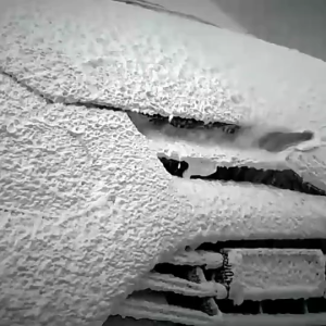 IZ - 5 PCS KUAS CUCI MOBIL / SIKAT DETAILING MOTOR LENGKAP / KUAS BUAT NYUCI PEMBERSIH AUTO / SIKAT PEMBERSIH DETAILING BRUSH 5 PCS