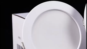 Round Downlight Recessed Ceiling LED Lamp Shop Home Bedroom Kitchen Restaurant Indoor Spot Light