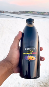 BERRITZ 1 Liter Ekstrak Daun Ketapang Pekat