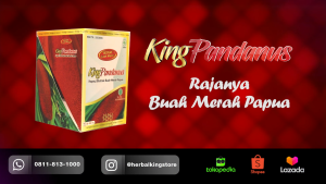King Pandanus EKstrak Kapsul dari Buah Merah Papua