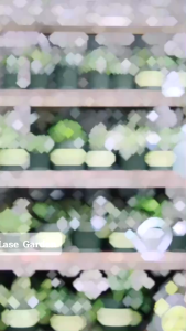 Combo Chậu Nhựa Trồng Cây Kèm Dĩa Dáng Lùn Size 16x12x12cm Decor Ban Công Trang Trí Sân Vườn